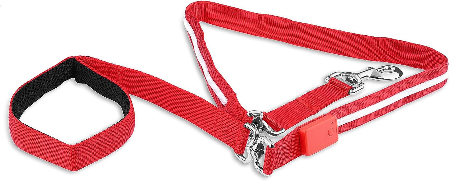 Blazin' Safety LED Dog Leash - USB Rechargeable Flashing Light, 6 Ft, Water Resistant – Avoid Danger – Red